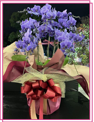 福岡フラワーショー(FFS)プランツアワードで、Blue Geneが金賞を受賞しました！