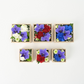 ブルージーン アレンジメント（桐箱/大）／青い胡蝶蘭「ブルージーン」 (赤系、白系、青系)