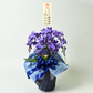 【石原産業開発】青い胡蝶蘭 Blue Gene 世界初 5本立鉢 法人