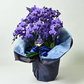 【石原産業開発】青い胡蝶蘭 Blue Gene 世界初 7本立鉢 法人