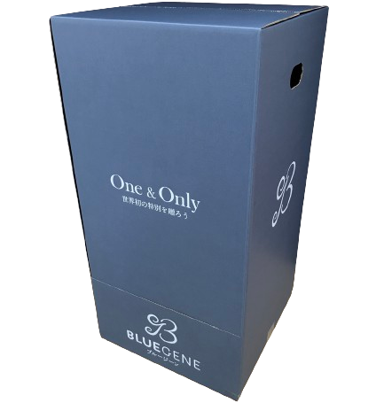 【公式】青色胡蝶蘭ブルージーン3本立鉢 豪華ラッピング／世界初の特別を大切な人に