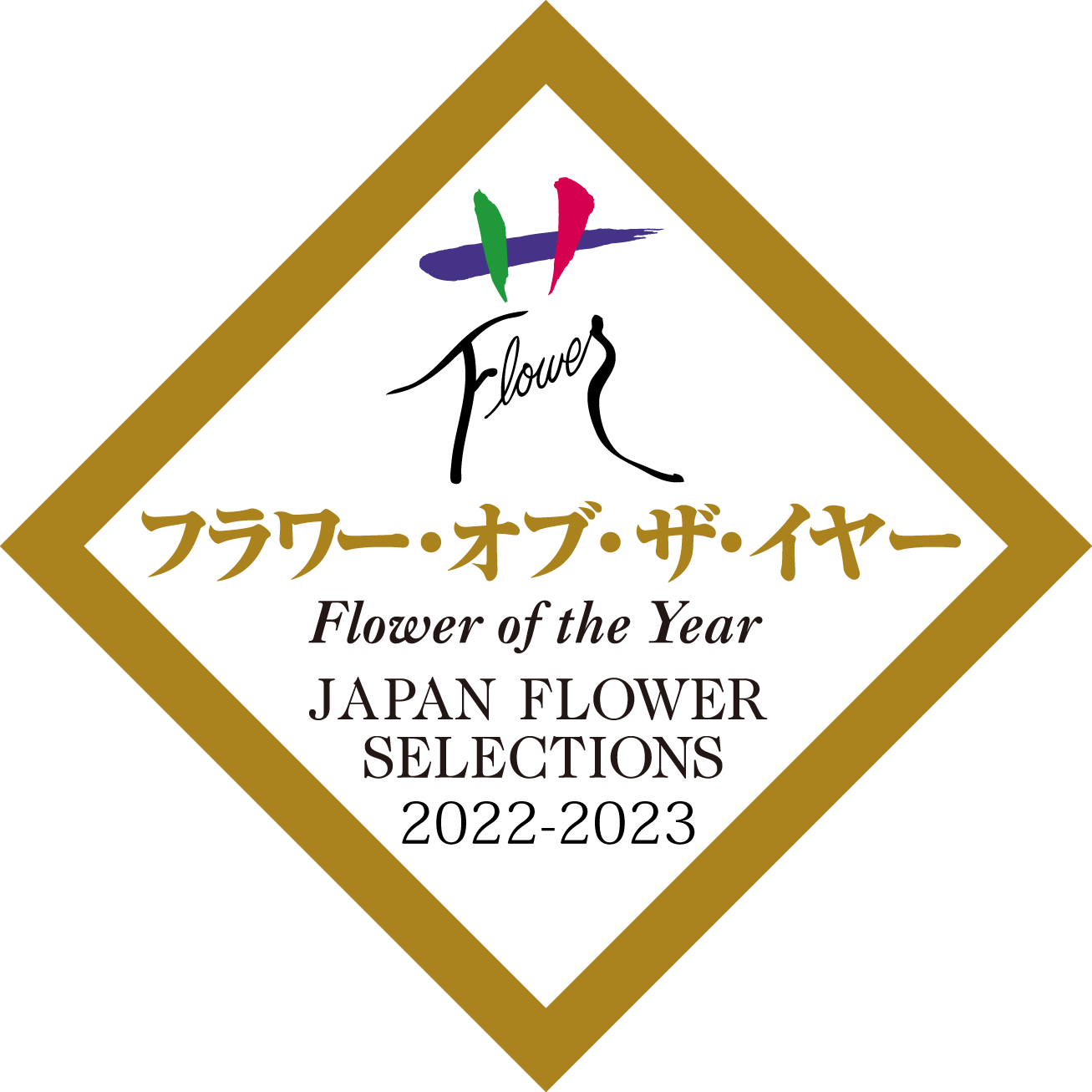 【公式】西日本エリアのお届け限定　輪数35輪以上(蕾含む) 青色胡蝶蘭ブルージーン3本立鉢 ラッピング／世界初の特別を大切な人に