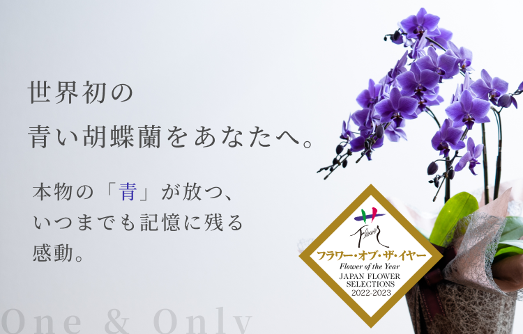 公式】Blue Gene Store (ブルージーンストア) 公式】Blue Gene Store (ブルージーンストア)